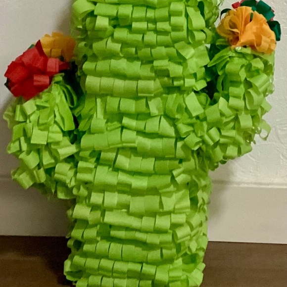 Cactus Pinata - Picture 2 of 4